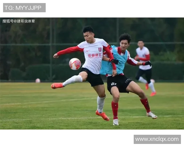 成都羽毛球队防反战术分析及其在比赛中的得失情况探讨